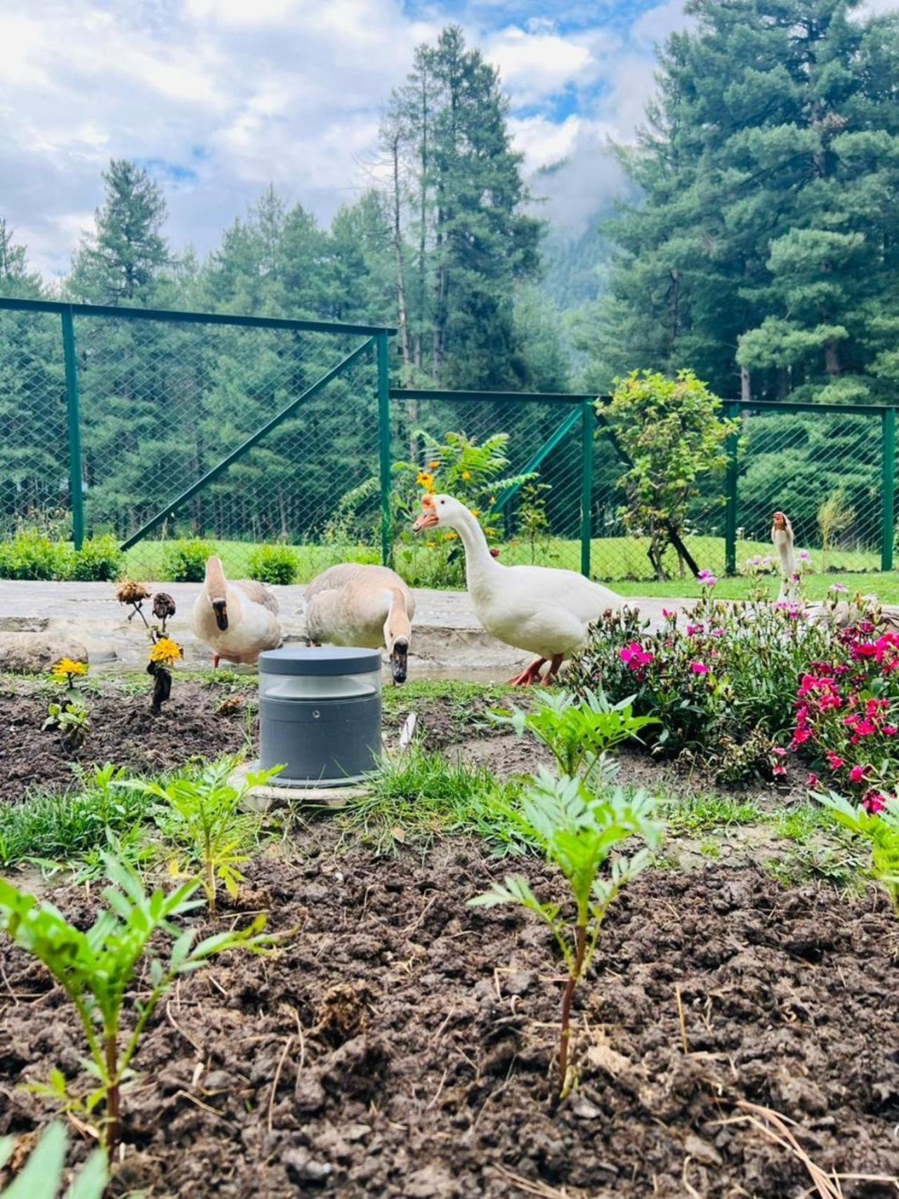 Radisson Golf Resort Pahalgam Pahalgām Exterior foto